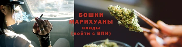 ГАЛЛЮЦИНОГЕННЫЕ ГРИБЫ Вяземский