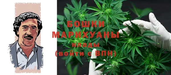 ГАЛЛЮЦИНОГЕННЫЕ ГРИБЫ Вяземский