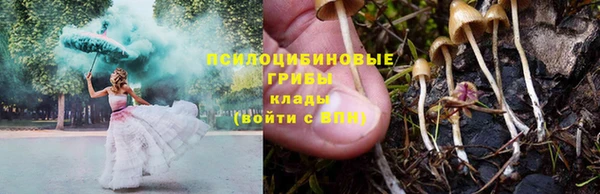 ГАЛЛЮЦИНОГЕННЫЕ ГРИБЫ Вяземский