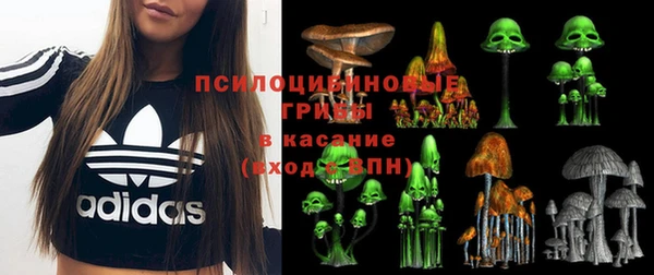 ГАЛЛЮЦИНОГЕННЫЕ ГРИБЫ Вяземский